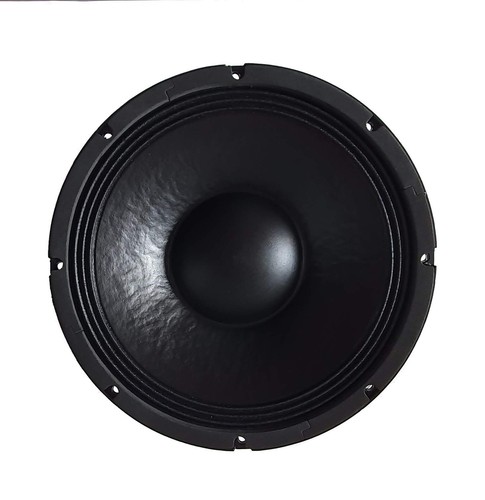 Pa subwoofer profi - 12"/30,
